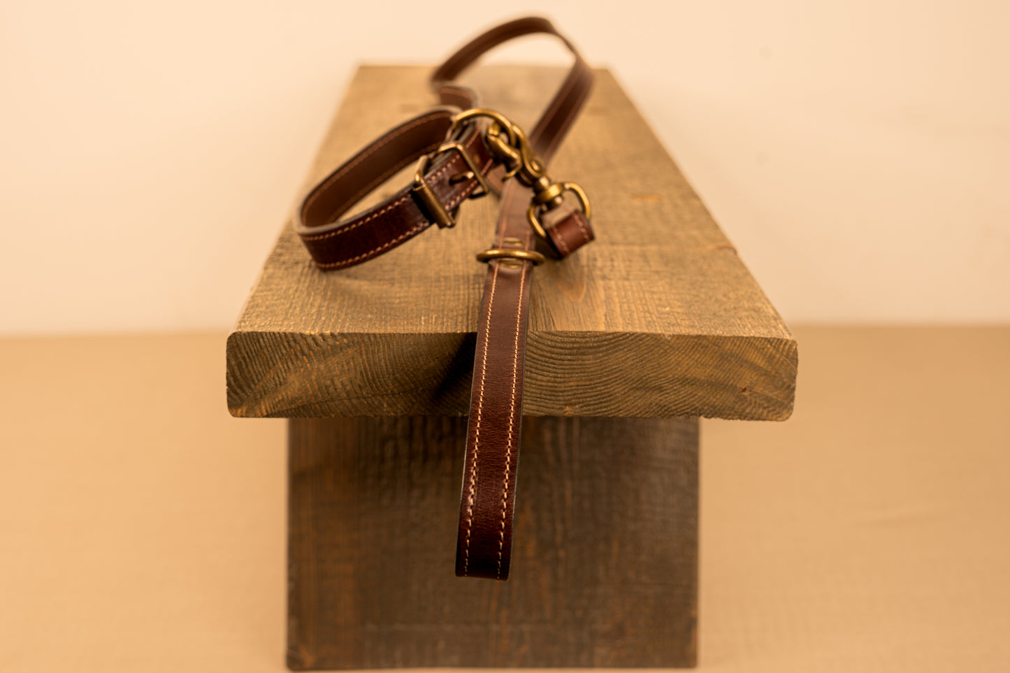 Dog Collar and Leash Set