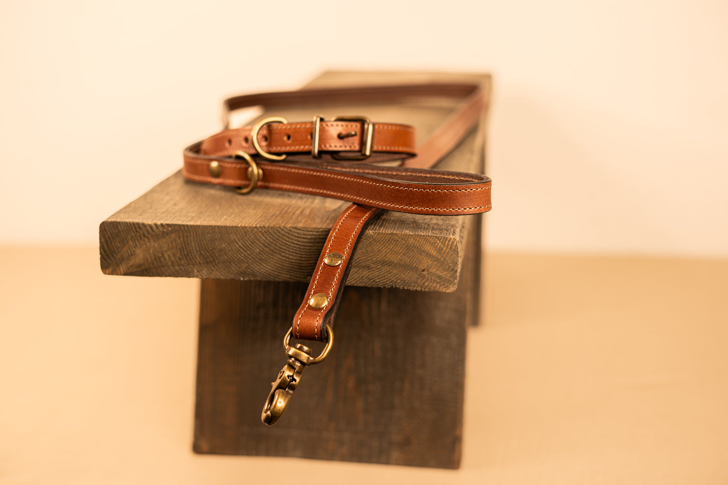 Dog Collar and Leash Set