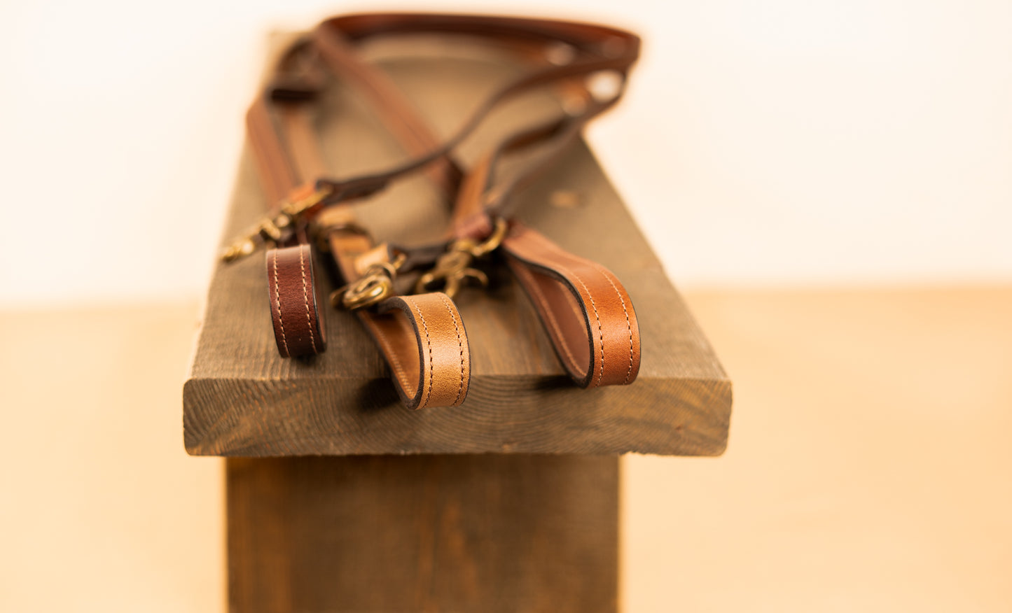 Dog Collar and Leash Set