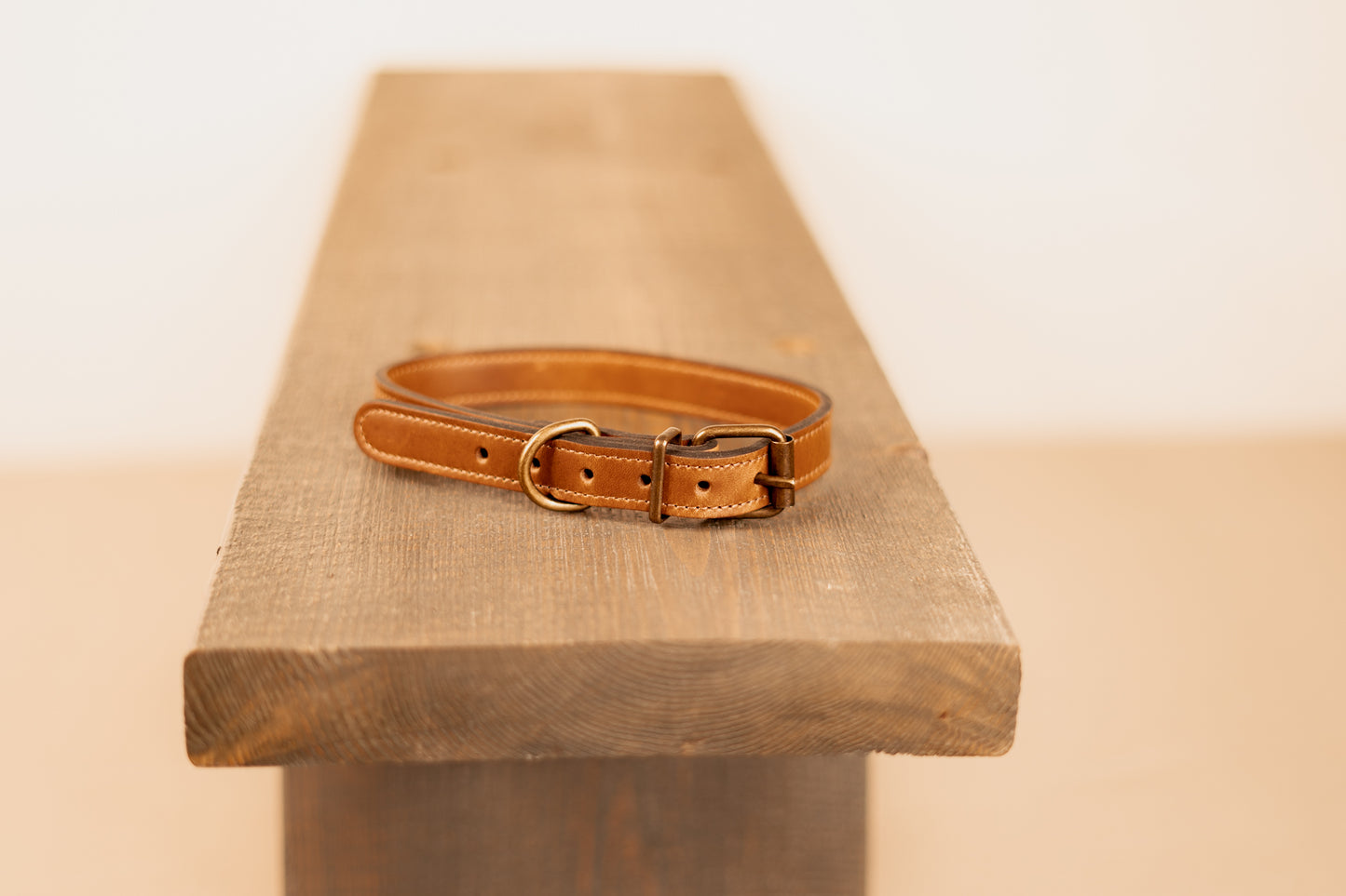 Dog Collar and Leash Set