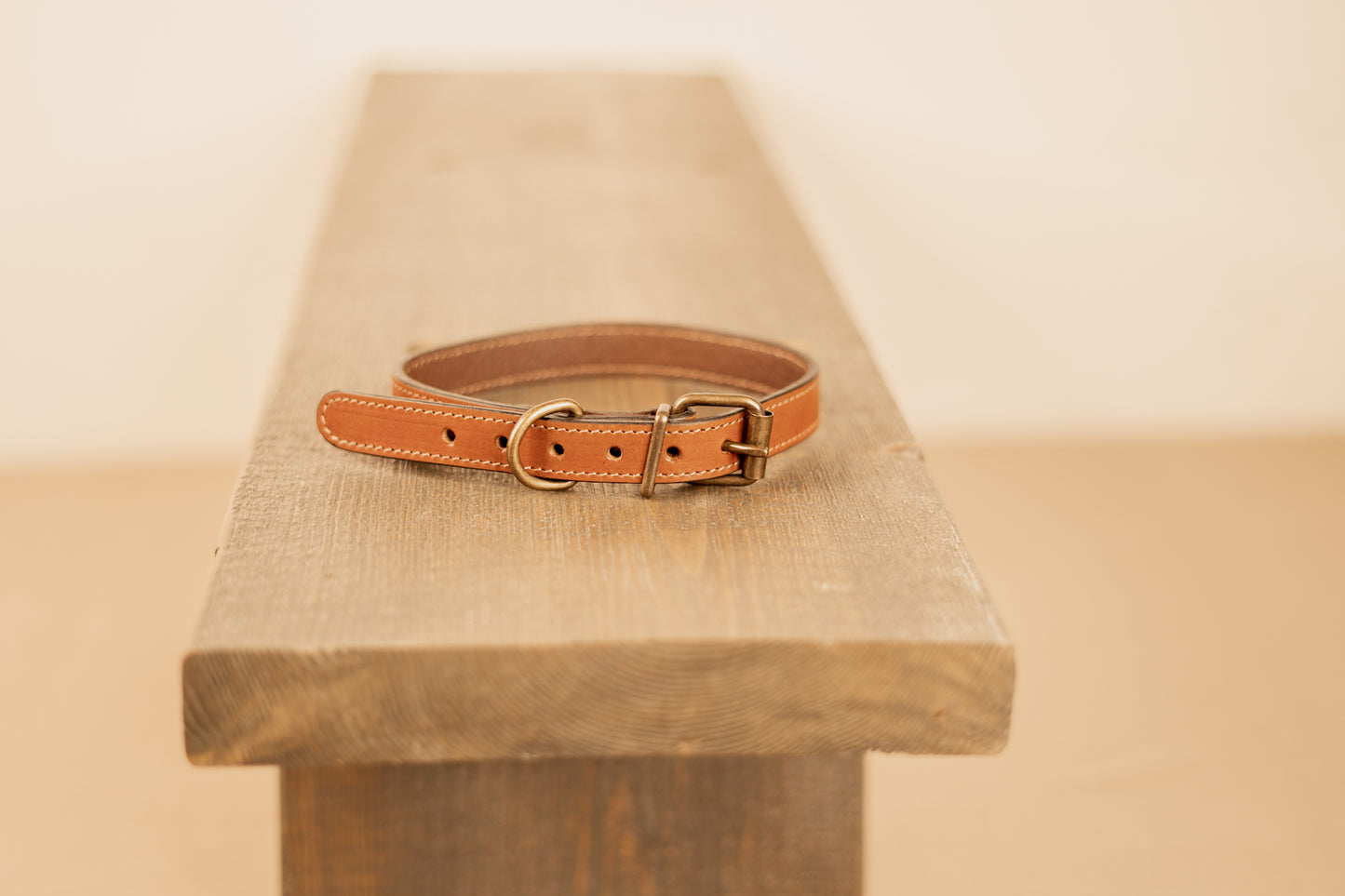 Dog Collar and Leash Set